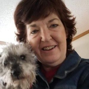 Meet your Posher, Dawn